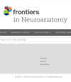 Frontiers in Neuroanatomy]