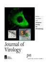 JOURNAL OF VIROLOGY]