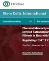 Stem Cells International]