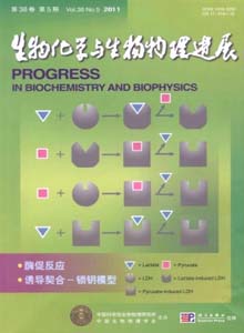 生物化學(xué)與生物物理進(jìn)展雜志