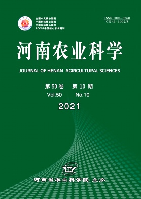 氮水耦合對甘薯生長發育及產量的影響