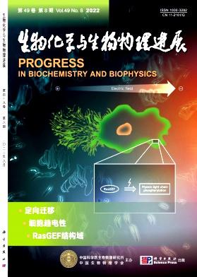 動物醫學英文期刊