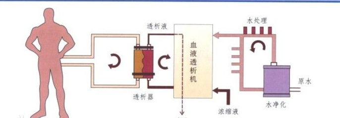 醫療論文發表