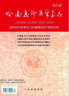 嶺南急診醫學雜志省級期刊投稿